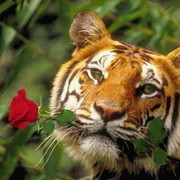 Валера Б on My World.