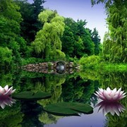 Светлана *** on My World.