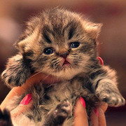 Дина ........... on My World.