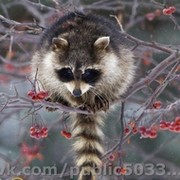 Владимир Солдатов on My World.