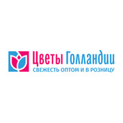Цветы Голлaндии группа в Моем Мире.