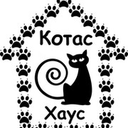 Гостиница для кошек Котас Хаус в Белгороде группа в Моем Мире.