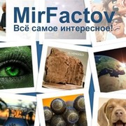 MirFactov - все самое интересное! группа в Моем Мире.