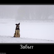 Преданные нам и преданные нами группа в Моем Мире.