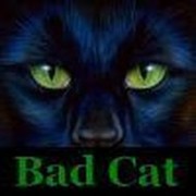 Bad Cat on My World.