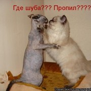 Дмитрий Иванов on My World.