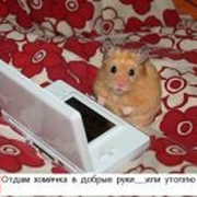 алексей долгополов on My World.