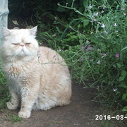 Владимир Исаев on My World.