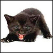 Инга Березовская on My World.