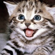 Ольга )))))))))))))))) on My World.