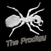 The Prodigy on My World.