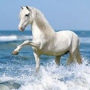 Аккали Ахмет on My World.