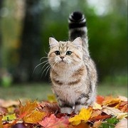 Саша Сашин on My World.