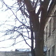 Мурма *** on My World.