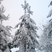 Ген Мак on My World.