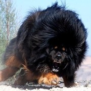 Dmitri 39 rus on My World.
