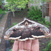 Светлана Воробьева on My World.