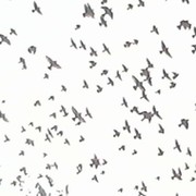 Вадим Довженко on My World.