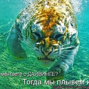 Вадим Дерышев on My World.