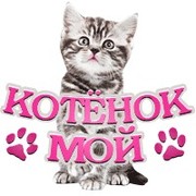 Татьяна Моргунова =^.^= on My World.