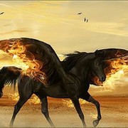 Александр Горшков on My World.