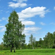 Игорь Валерьевич on My World.