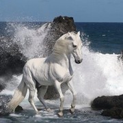 Куанышбек Айбекулы on My World.