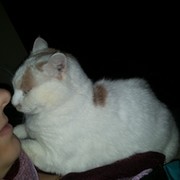 Л П on My World.