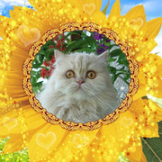Марина Шишкова on My World.