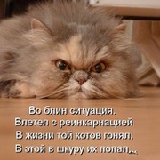 Вилли Кот on My World.