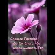 поля поля on My World.