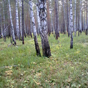 Светлана Морозова on My World.
