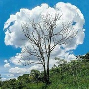 Екатерина Григорьева on My World.