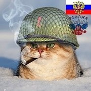 sertis Иванов on My World.