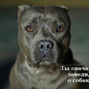 Ирина Шимко on My World.