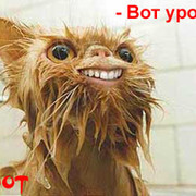 Диверсант Freeman on My World.