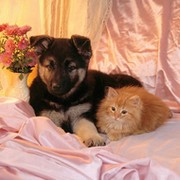 Верт Икс....... on My World.
