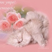 ЮЛИЯ @@@ on My World.
